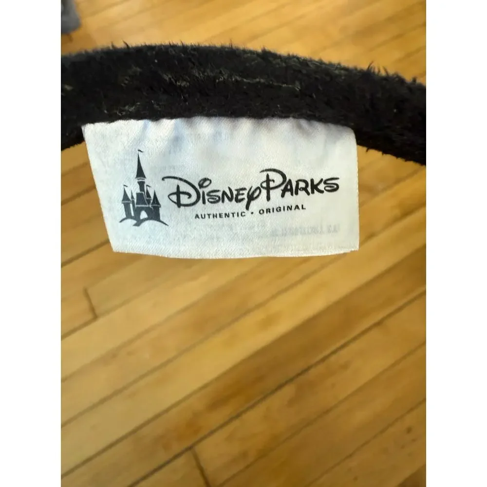 Disney parks pink